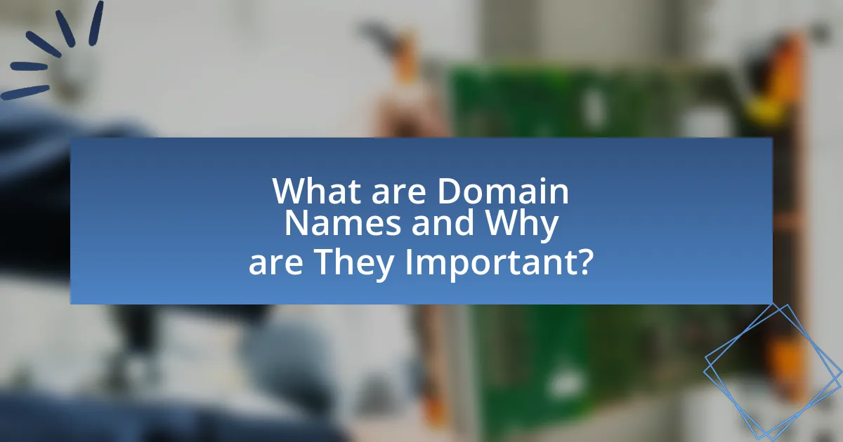 What are Domain Names and Why are They Important?