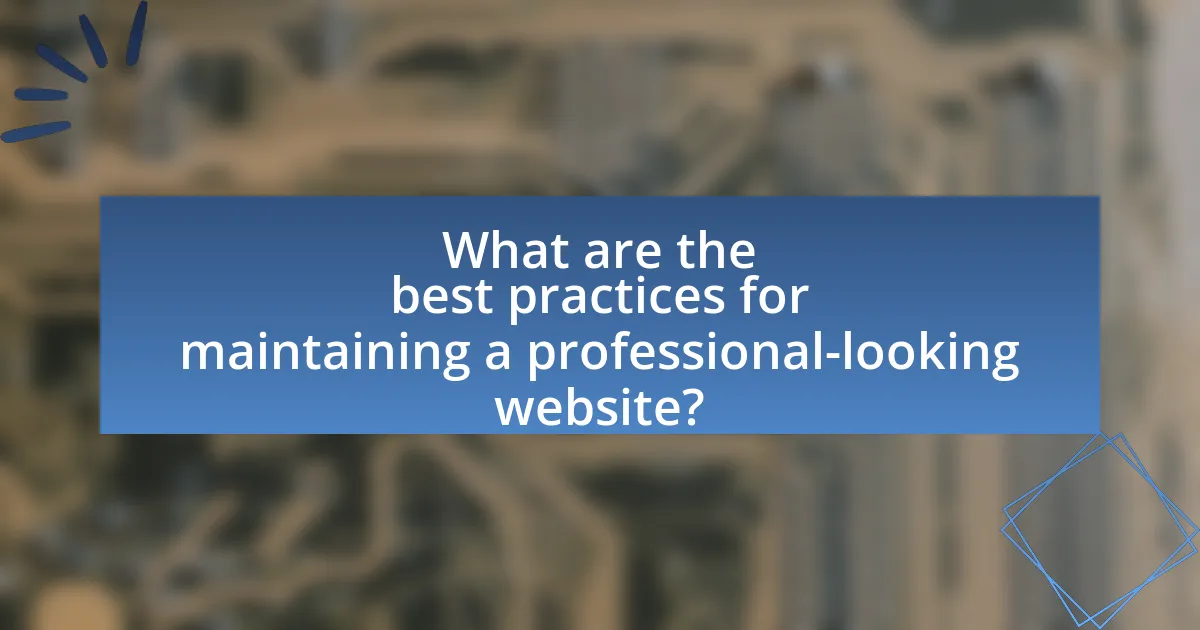 What are the best practices for maintaining a professional-looking website?