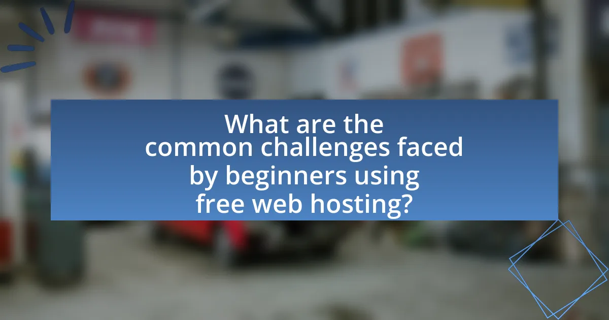 What are the common challenges faced by beginners using free web hosting?